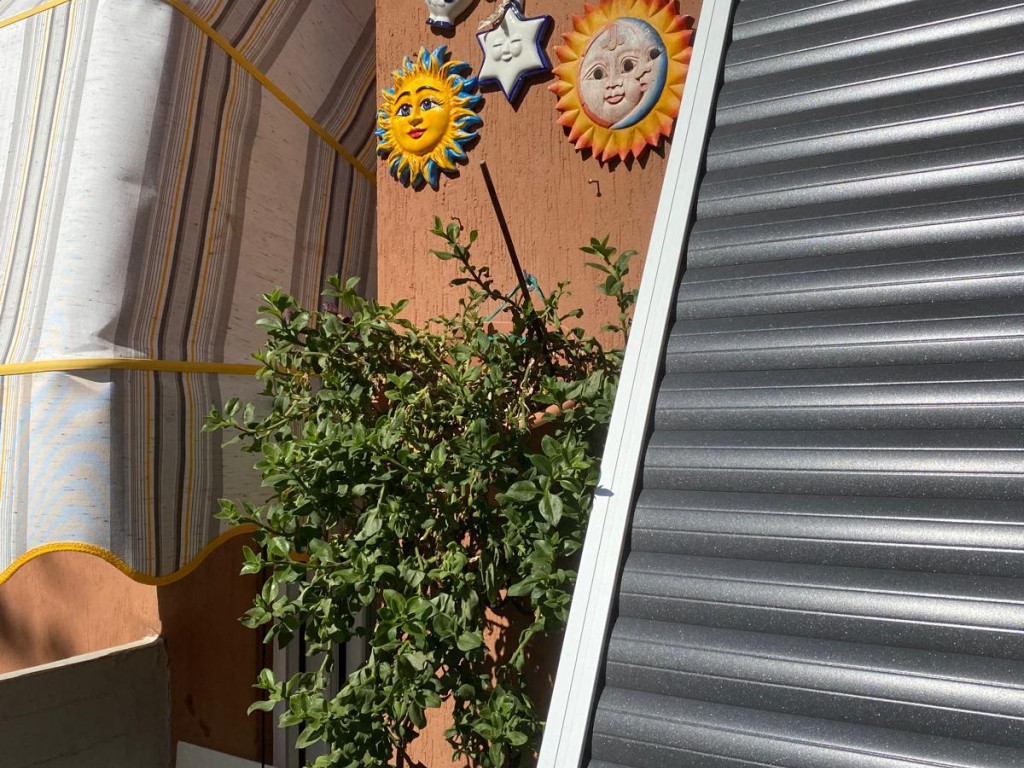 WhatsApp Image 2025-10-29 at 10 33 19